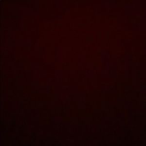 Meet your Posher, Tori